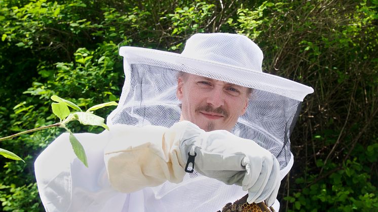 Kocken Paul Svensson hämtar nyslungad primörhonung direkt ur kupan. Foto: Anna Lind Lewin.