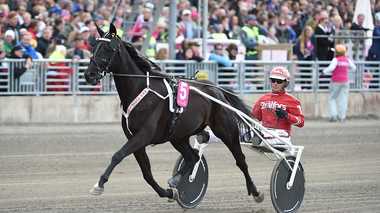 Norskt hopp till Elitloppet Benders