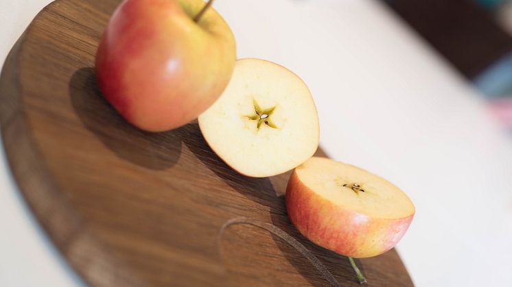 Saga – en svensk äppelsort som nu kan köpas i butik året runt.