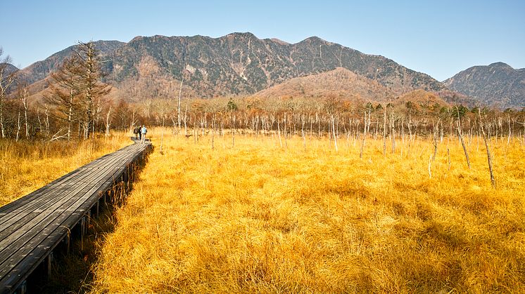 Senjogahara Marshland