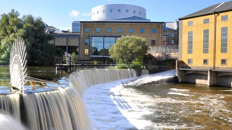 2018 års upplaga av Delaktighetsdagen äger rum i Norrköping.