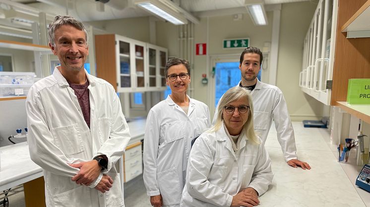 UmanDiagnostics is expanding its current premises in Umeå with 180 square meters, to a total of 630 square meters. From the left: Niklas Norgren, VP and Managing director, with Eva Söderström, Carola Falk and Andreas Gunnarsson at UmanDiagnostics. 