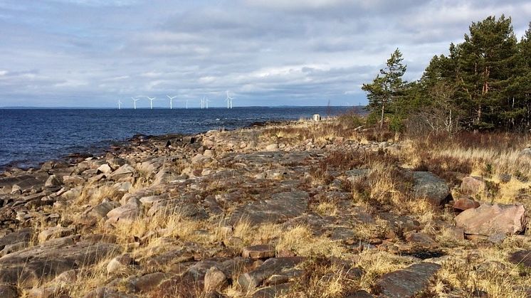 Utsikt från Hammarö sydspets. Förhoppningen är att så många som möjligt ska kunna njuta av naturen på Hammarö sydspets och att satsningen ska ge positiva effekter för såväl boende i regionen som långväga gäster! Foto: Gunnar Lagerkvist