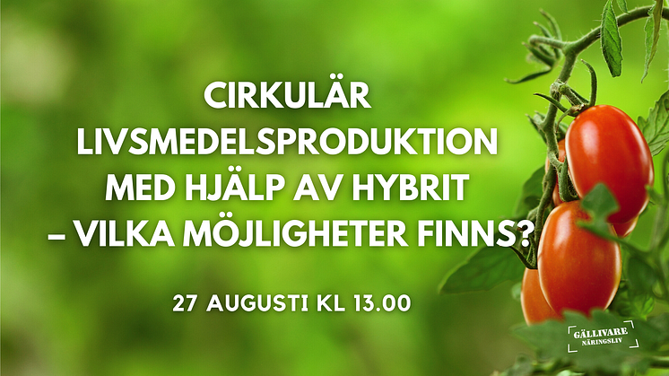 Workshop med fokus på möjligheterna till cirkulär livsmedelsproduktion med hjälp av spillvärme från Hybrit