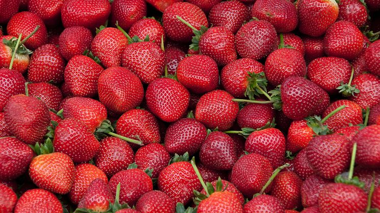 mnd-bluegaz-alla-hjärtans-dag-tips-jordgubbar
