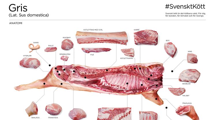 Styckningsschema gris 2018 