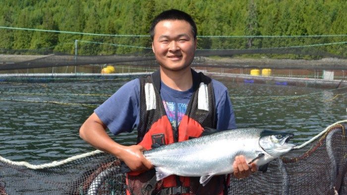 Cermaq depends on healthy oceans to produce sustainable salmon, and we are committed to contributing to the UN's Sustainable Development Goals 