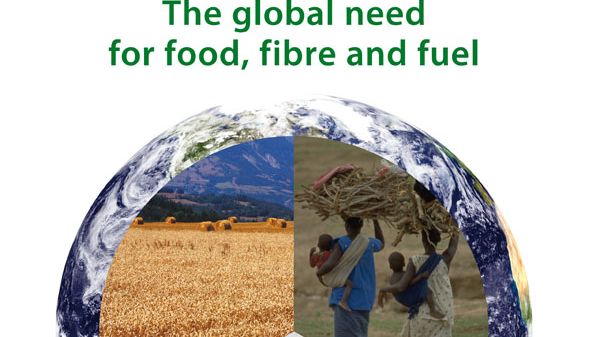 The global need for food, fibre and fuel – ny publikation