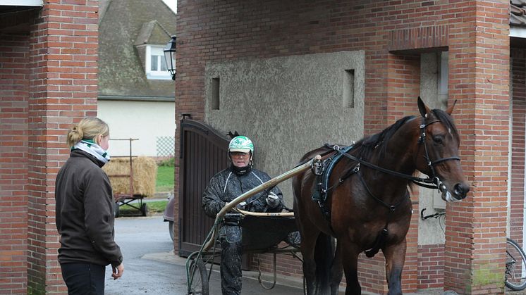 Maharajah siktar på revansch i Prix d’Amerique på söndag