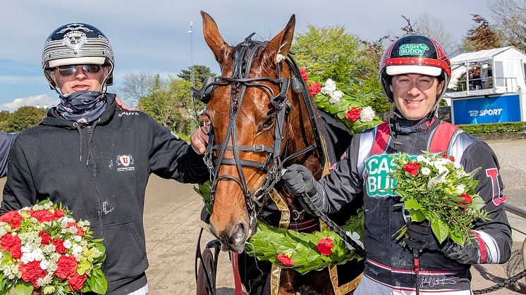 Cyber Lane klar för Elitloppet 2021. Foto: TR Bild