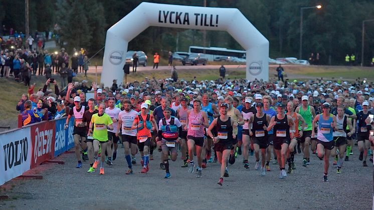 Swedish and international elite runners settle the score in Ultravasan on Sunday – follow along at Vasaloppet.TV