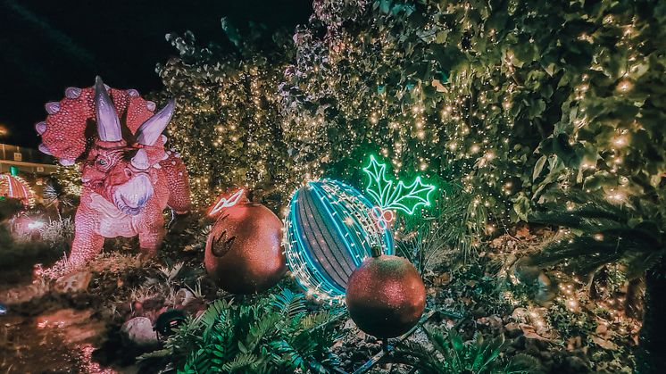 Pose with life-sized dinosaurs decked in festive lights, striking neon signs and a dazzling 25m-long light tunnel. 