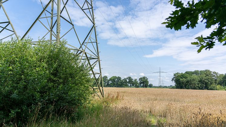 Trassenverlauf des 110-kV zwischen Cloppenburg und Essen