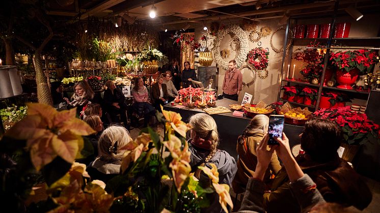 Johan Munter på Floristkompaniet delar med sig av sina bästa julstjärnetips.  Foto: James Johansson