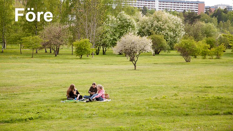 Järva begravningsplats bygger på ett prisvinnande arkitektförslag som profiterat på placeringen i en prisvinnande park, Järva DiscGolfPark (bilden).