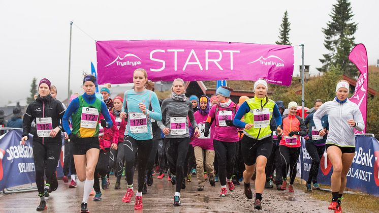 Det ble en imponerende løyperekord under årets Trysilrypa terrengløp av Silje Fjørtoft, startnummer 172.