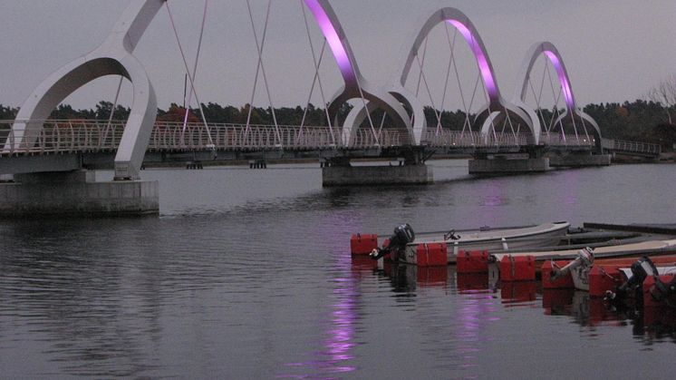 Världens längsta Rosa Band i Sölvesborg