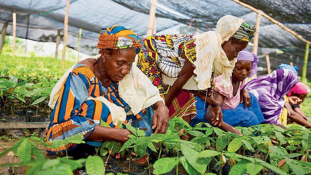 Nestlén vastuullisuusfoorumissa käsitellään kestävää kehitystä Afrikassa