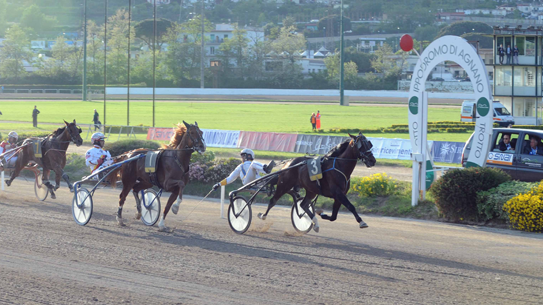 Mack Grace SM klar för Elitloppet 2012