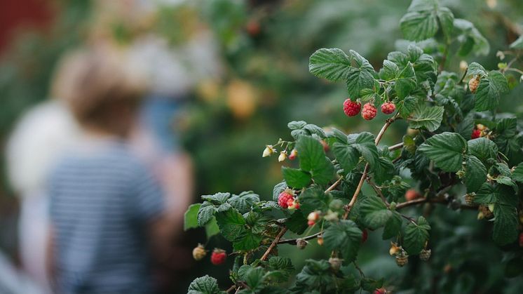 Foto: Vallentuna kommun