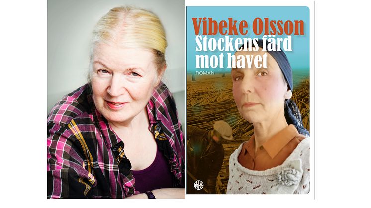 Vibeke Olsson släpper avslutande boken i serien om Bricken