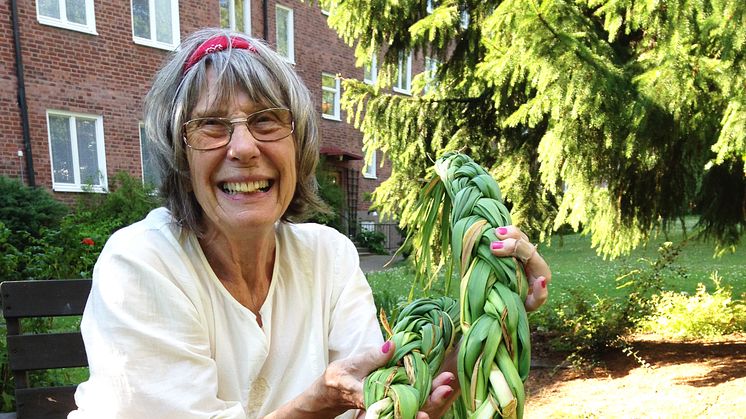 Vitlöksodling i bostadsrättsföreningen