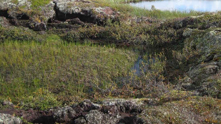 Kollapsande torvmark när permafrost tinar, Tavvavuoma i norra Sverige. Foto: Britta Sannel