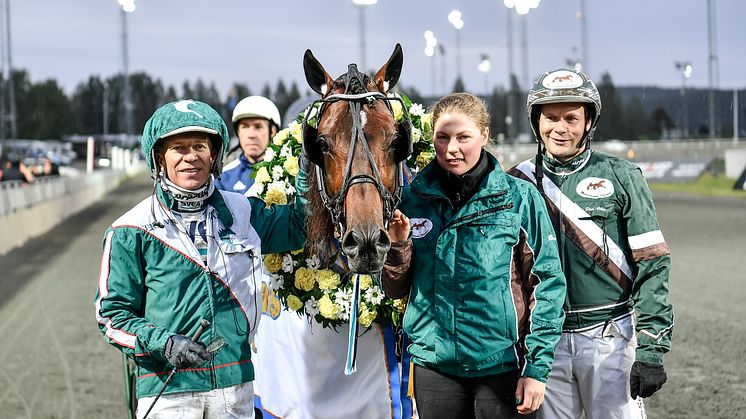 Who's Who röstades fram till årets äldre häst på Solvalla. Foto: TR Bild