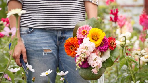 Pressvisning av Slow Flowers på Sofiero