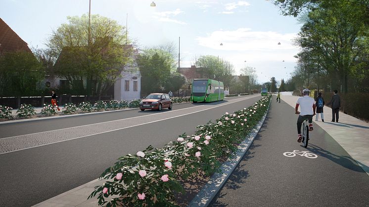 Visionsbild föreställande separerad cykelbana och rosenbuskar på Erikslustvägen i höjd med Stjärnplan. Illustration: Sweco