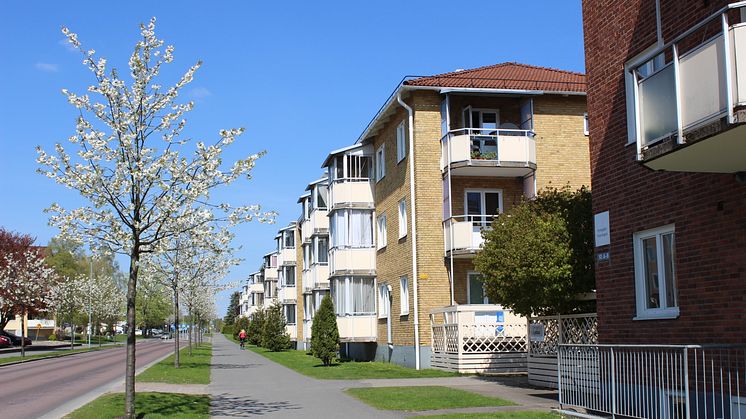 Sveavägen med kv Lyckan och kv Högaloft är två av Finnvedsbostäders bostadsområden. 