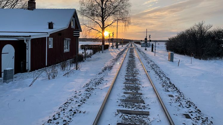 Plankorsning