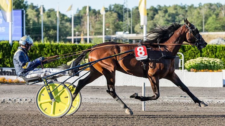 Click Bait klar för Elitloppet 2021. Foto: TR Bild