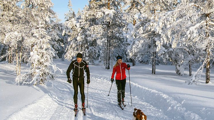 Finn inspirasjon til flotte skiturer i Oslomarka