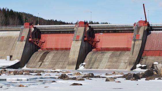 Umeåforskare karterar fiskar som hotas av dammar