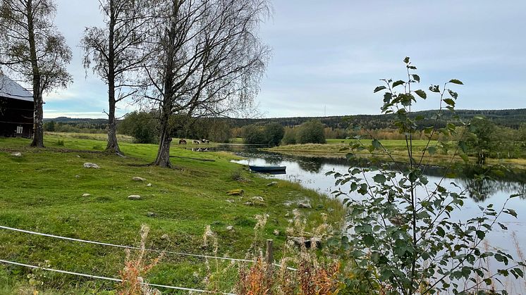 Samarbete över gränsen, LRF Värmland och Inlandets Bondelag i Norge diskuterar de Nya nordiska Näringsrekommendationerna