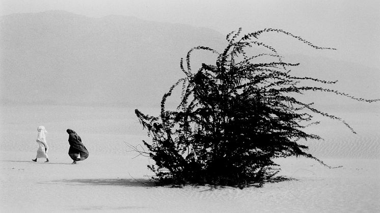 WITH CONCERN - SEBASTIÃO SALGADO