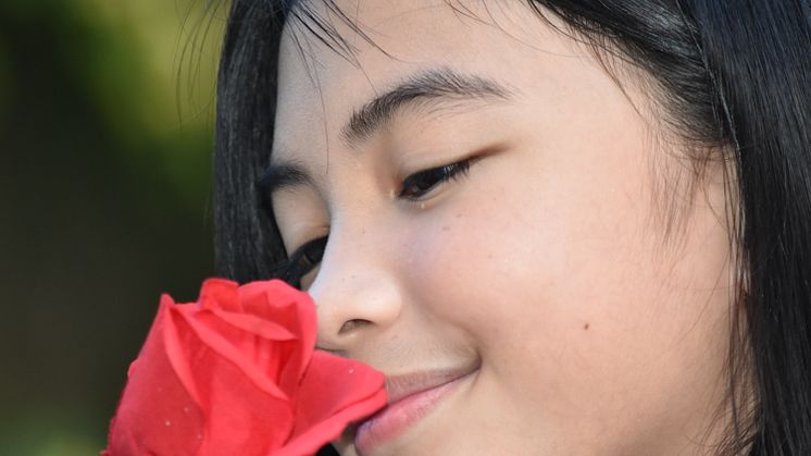 En ros är en ros är en ros. Men vilka ord används egentligen för att beskriva hur en ros doftar? Foto: David Tiberio/Mostphotos