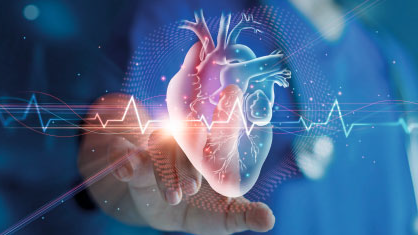 Die Deutsche Herzstiftung erhöht erneut Fördermittel für die Herzforschung 