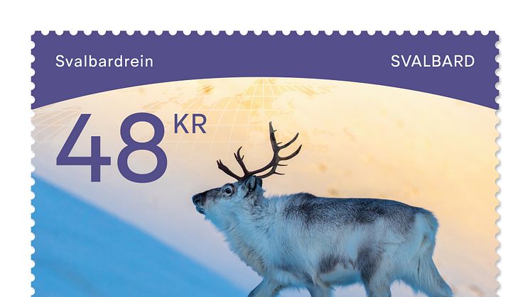 Svalbard - Svalbardrein