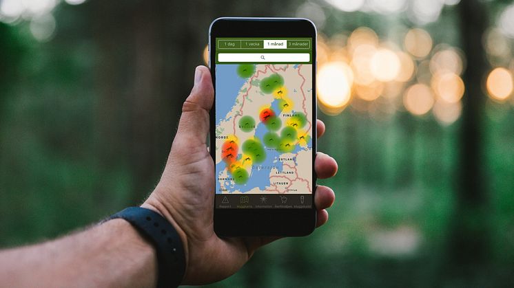 Myggrapporten är appen som håller koll på myggen i sommar