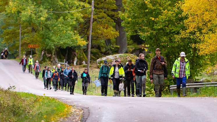 Naturvärdesinventerare från Calluna