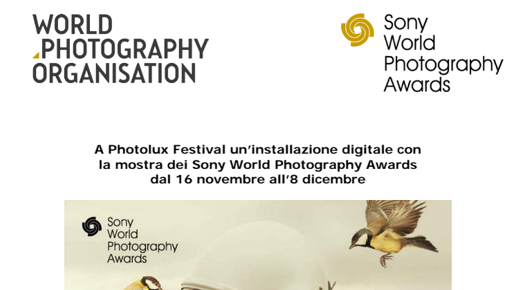 A Photolux Festival un’installazione digitale con  la mostra dei Sony World Photography Awards dal 16 novembre all’8 dicembre