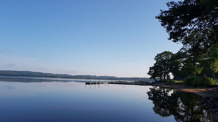 Många härliga naturupplevelser tidiga morgnar vid sjön. Foto: Anna Mellberg