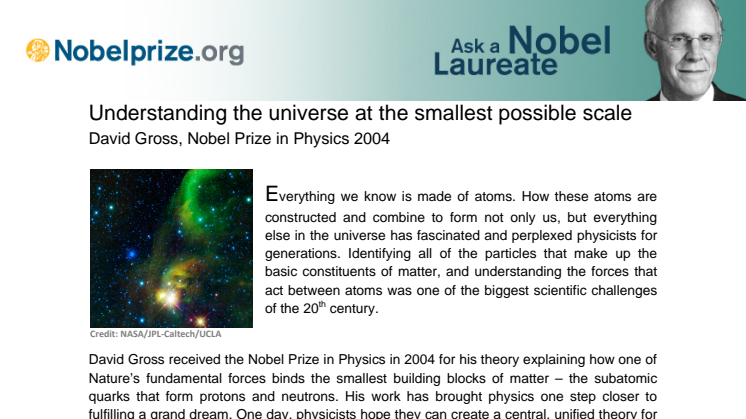 Fact Sheet on David Gross, Nobel Prize in Physics 2004