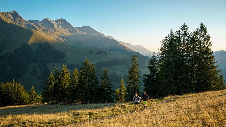 Fortuna Trail Tschenten in Adelboden