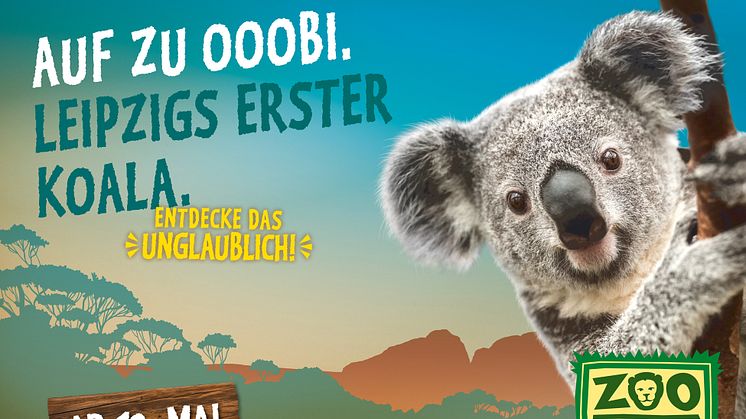 Neues Koala-Haus öffnet am 12. Mai 2016 im Zoo Leipzig