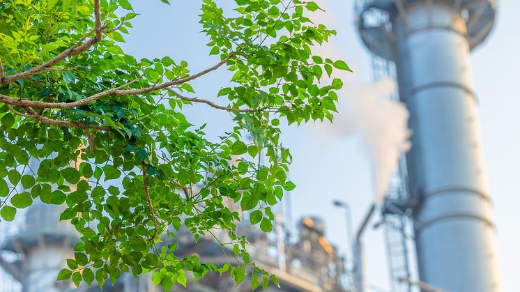 Grüne Innovation: Gebrauchte Industrieanlagen verringern den ökologischen Fußabdruck. (© Quality Stock Arts/Shutterstock.com).