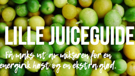 Den lille juiceguiden 