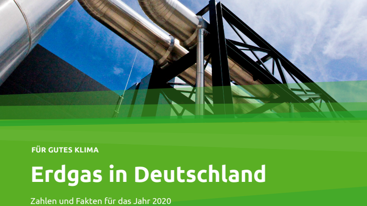 Faktenblatt "Erdgas in Deutschland 2020"